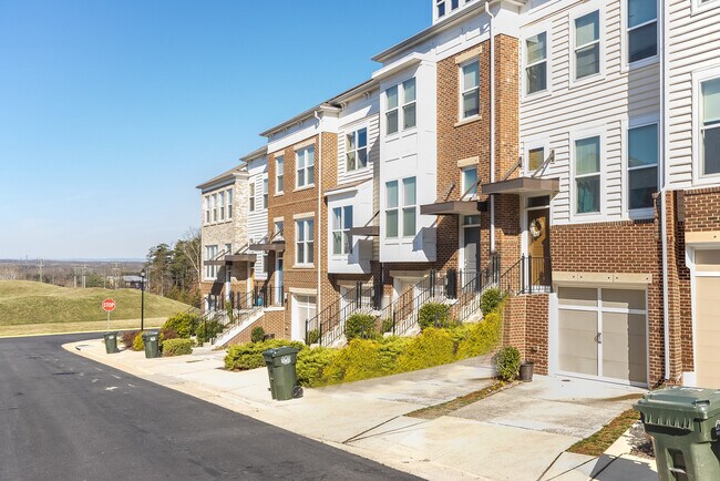 Photo - 42674 Orefield Terrace