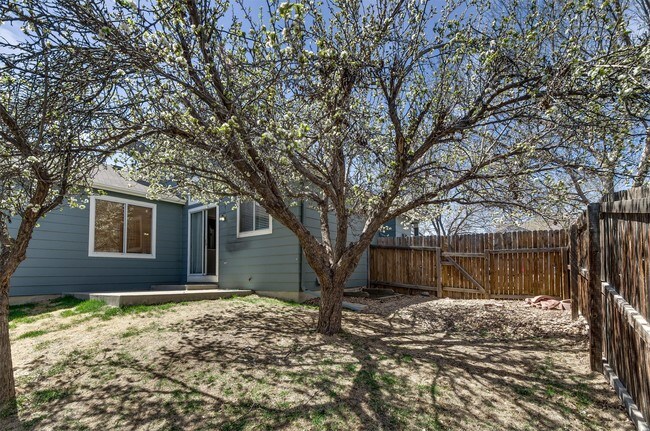 8708 Greengrass Way