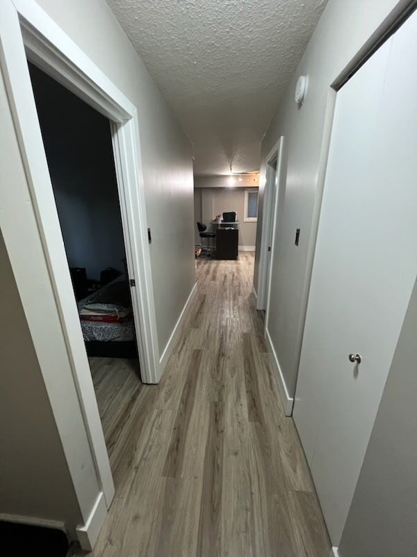 Photo - Cliff Bungalow Basement Unit – Open Layout, In-Unit Laundry, Prime Location Unité 103