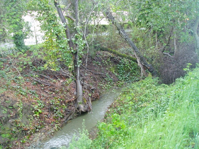 Photo - 19088 Austin Way Unit Cottage on the Creek