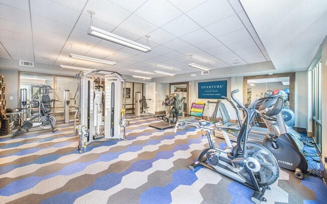 Flex - Gimnasio