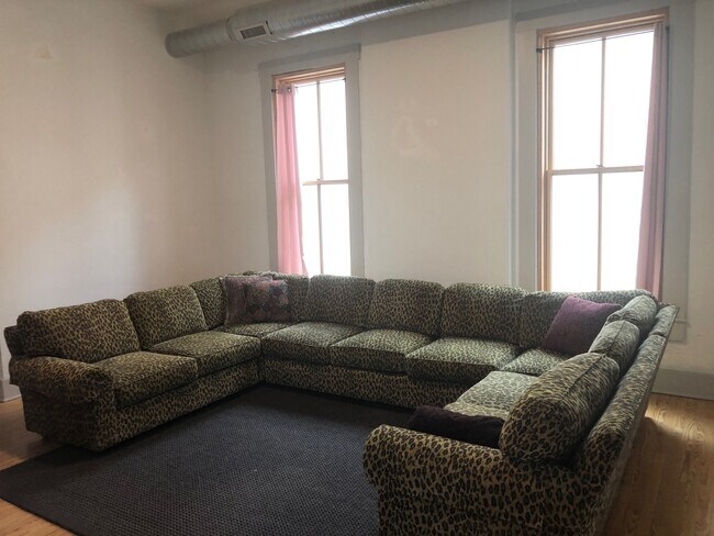 Living Room - 123 E 3rd St Unit 202