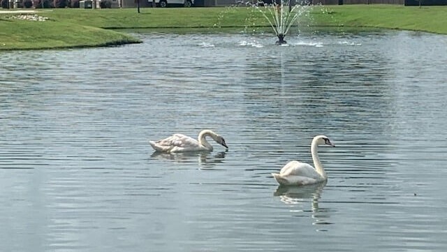 Photo - Chandler Pointe