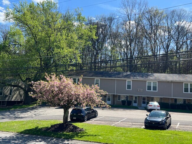 Shannon Hollow Apartments