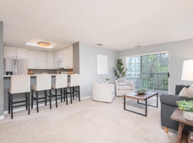 Living room and kitchen