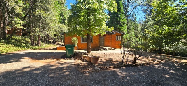 Photo - 3 bed 2 bath home surrounded by nature