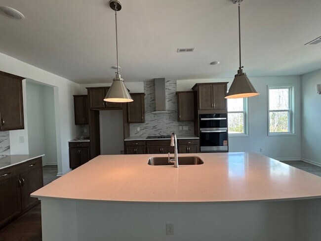 Photo - 2008 Red Woodpeckers Ct