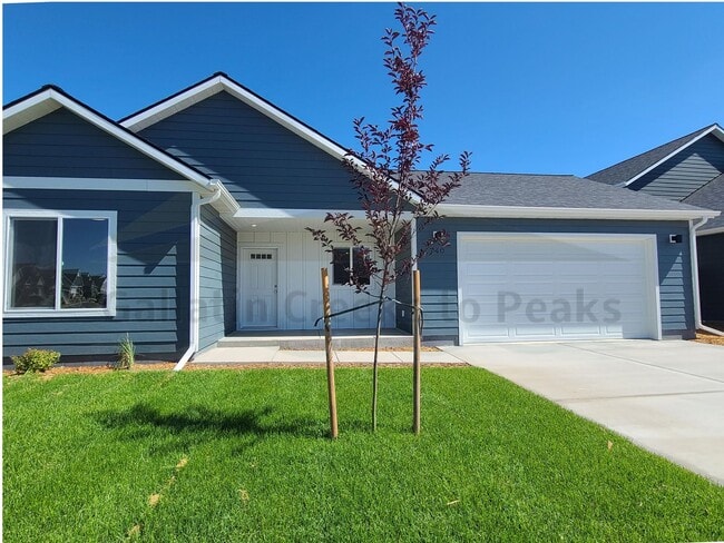 Building Photo - Brand New Single Level Home