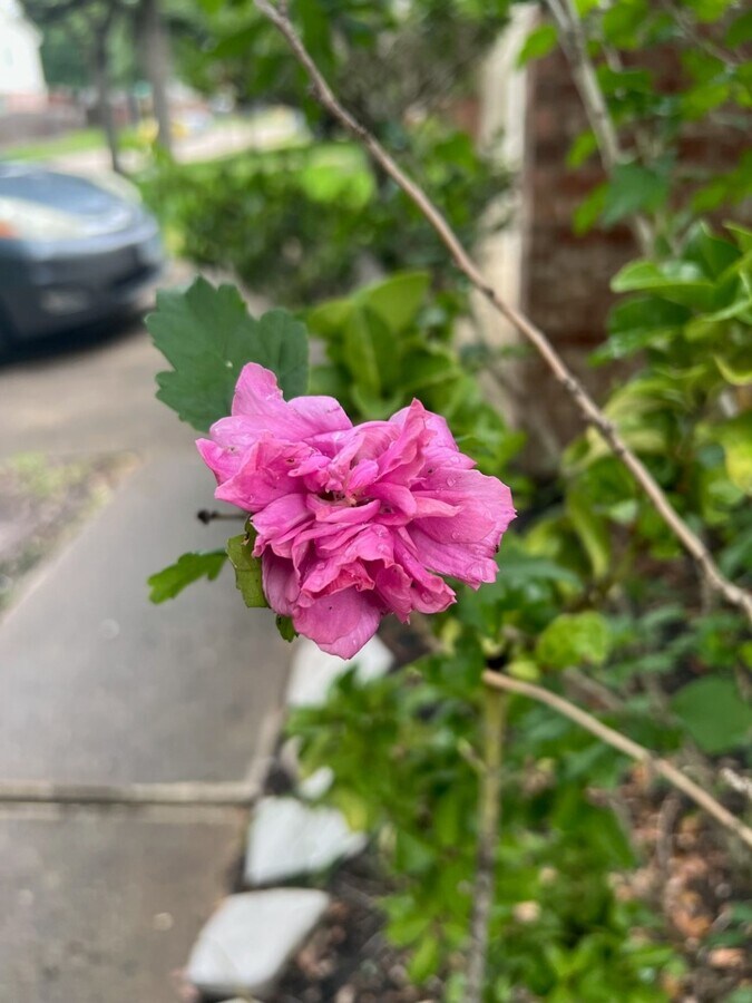 Photo - 21839 Manitou Falls Ln