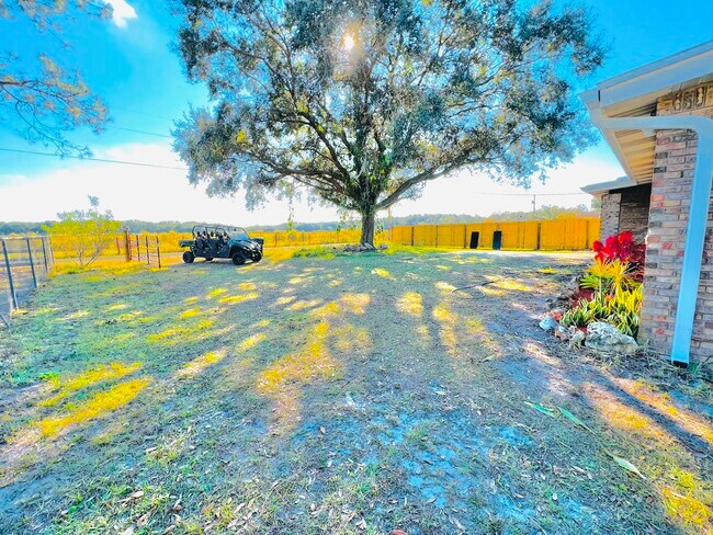 Front yard - 1817 Demastus Ln