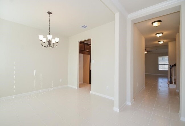 Photo - 16922 Sedum Grn