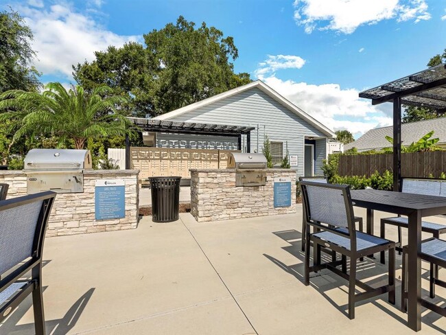 Photo - The Papillon