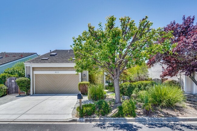 Building Photo - $8500-Mountain View  4 bedroom 3 baths in great neighborhood!