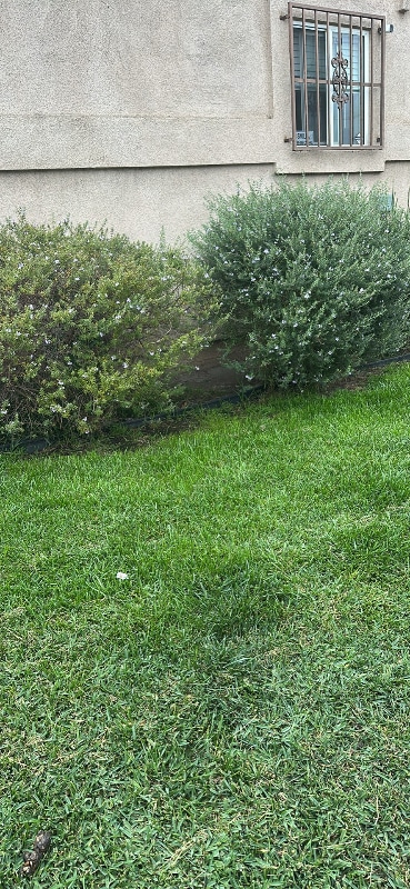 Photo - 732 W 77th St Apartamento Unidad 732 W  77Th