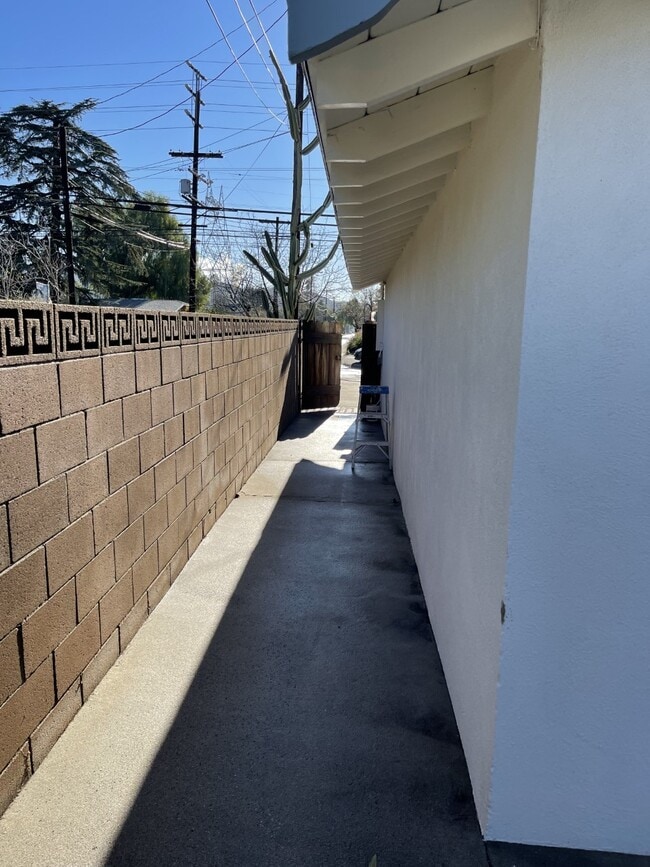 Side Yard