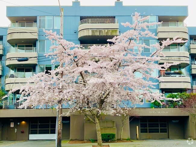 Building Photo - 2145 Dexter Ave N Unit 2145 Dexter Ave N #201 Rental