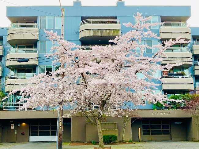 Beautiful well maintained building, easy access to public transportation, shopping, dining, & parks - 2145 Dexter Ave N Condo Unit 2145 Dexter Ave N #201