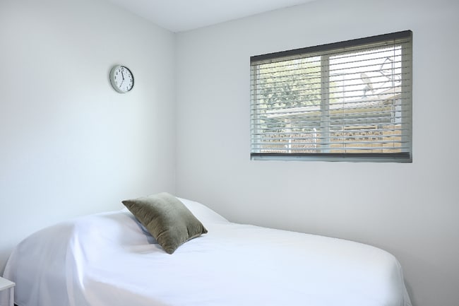 Photo - 3011 Pine Tree Dr