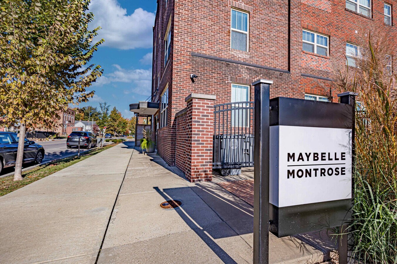 Photo - Maybelle-Montrose