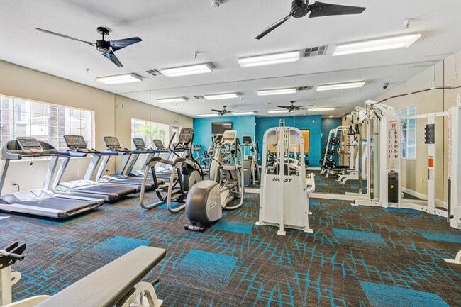 Gym 2