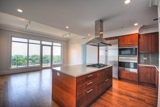 Photo - 2550 N Lakeview Ave Unit N803
