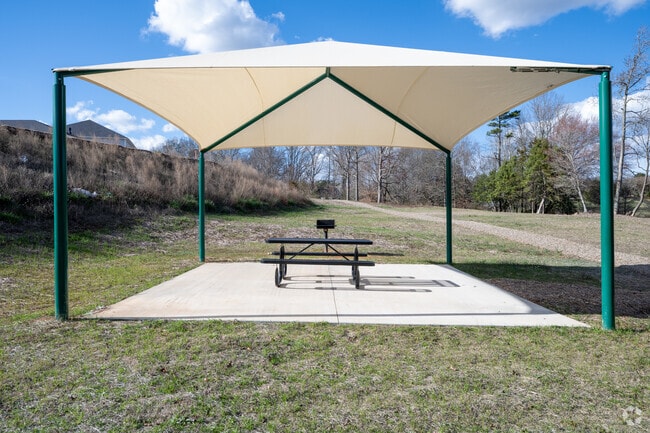 Grilling Area