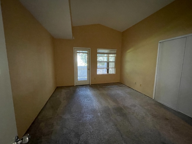 Photo - 2008 Forest Run