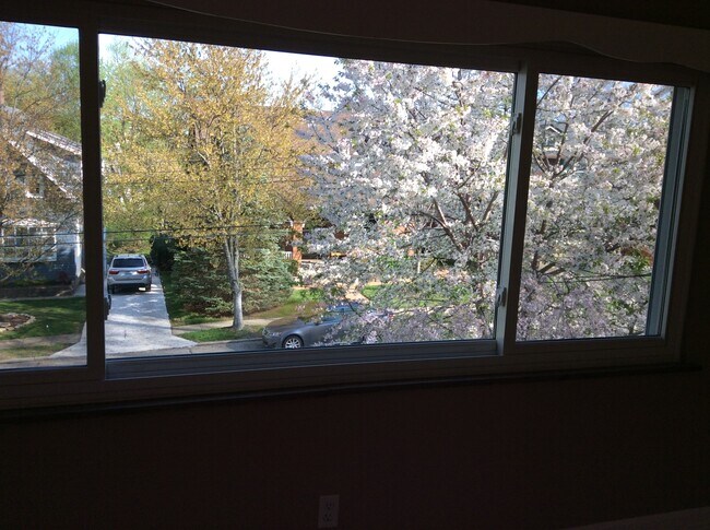 View From Livingroom - 20 Chalfonte Pl Unit Upstairs