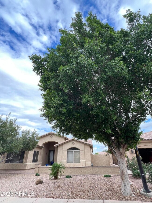 Photo - 4484 E Redfield Ct