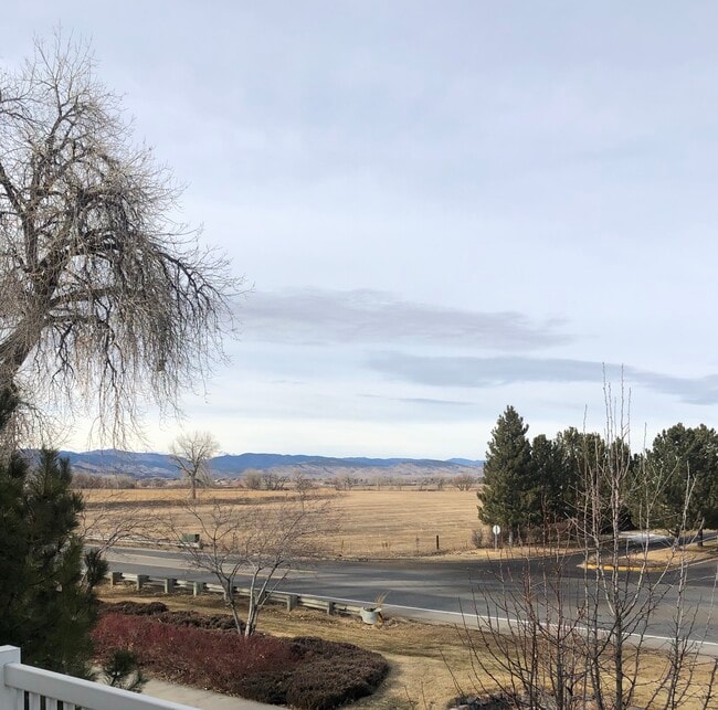 Photo - 4501 Nelson Rd