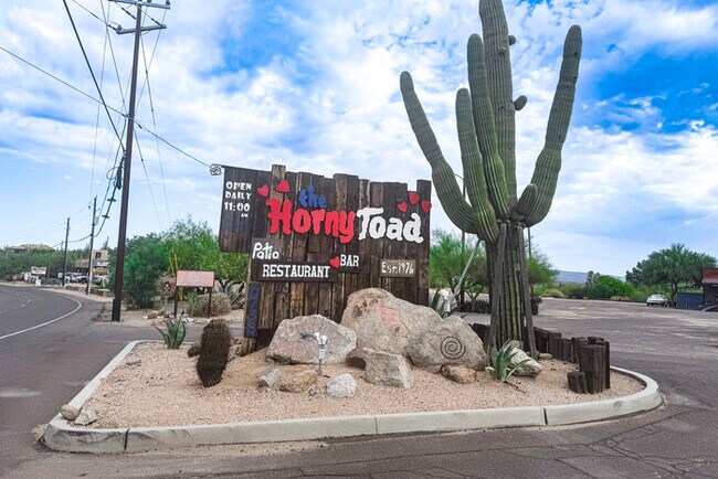 3Bed/2Bath Home in Cave Creek! Move-In Rea... - 3Bed/2Bath Home in Cave Creek! Move-In Rea...