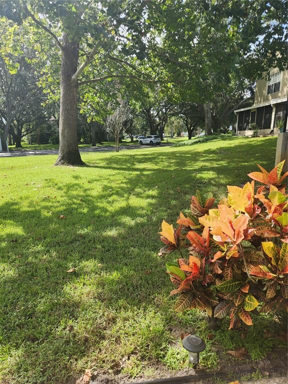 Photo - 2897 Thaxton Dr