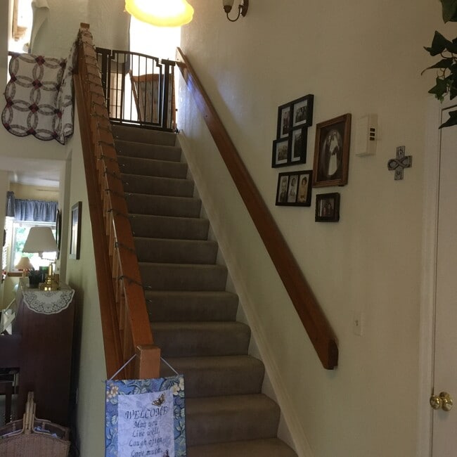 2400 Rim Dr