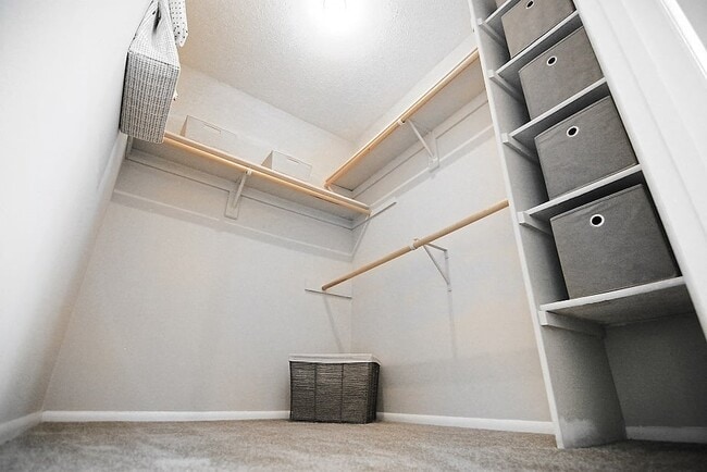 Walk-In Closet at Chelsea Village