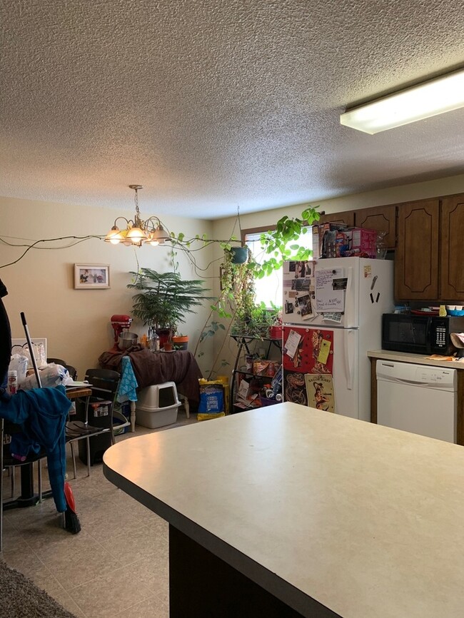 Photo - Water/Sewer/Trash Included - Large Two Bedroom One Bath In North Loveland! Easy Access to HWY 287!