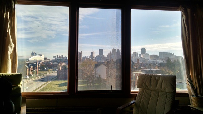 view from kitchen/living room - 2915 John R St Condo Unit 405