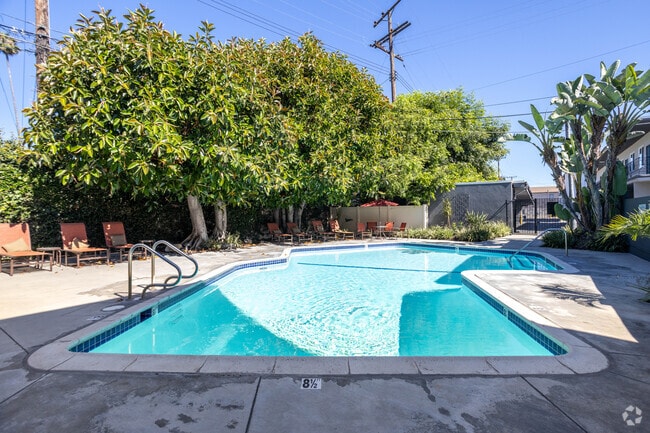 Piscina - South Olive Apartments