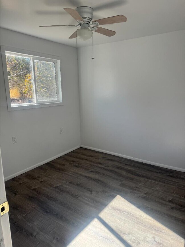 Photo - 119 Paper Collar Row