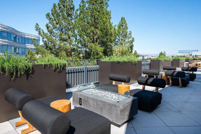 Elegant rooftop lounge with modern furniture and greenery overlooking the city. - The Rise Walnut Creek