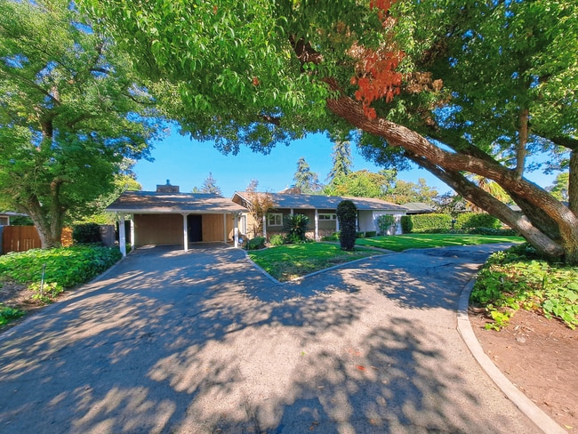 Photo - Beautiful Single Level Home on a Half Acre...