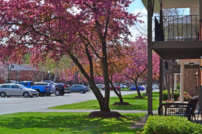 Photo - Whispering Pines