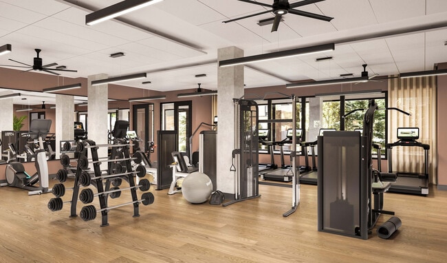 Modern fitness center with sleek equipment, large mirrors, and abundant natural light for an energizing workout experience. - Bellamy Minnetonka