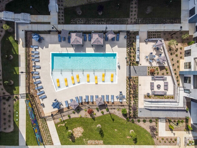 Pool Area - Amaze at NoDa