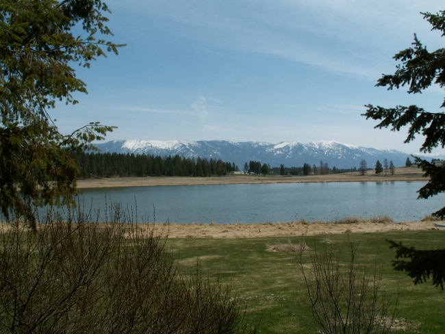 Photo - 256 Mallard Loop