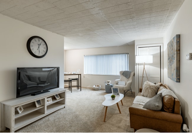 1 BR, 1 BA - Remodeled Living Room