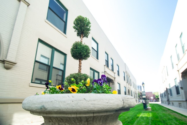 Photo - Van Rooy Downtown Leasing