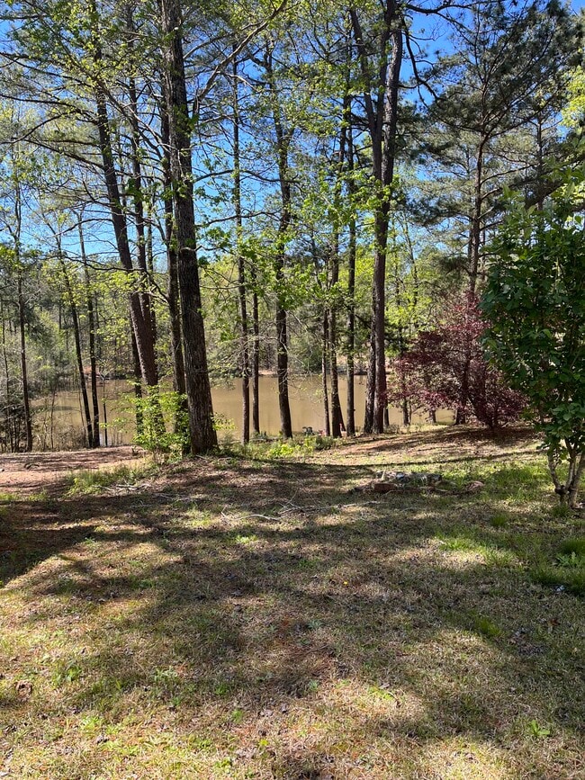 Lake with fishing area
