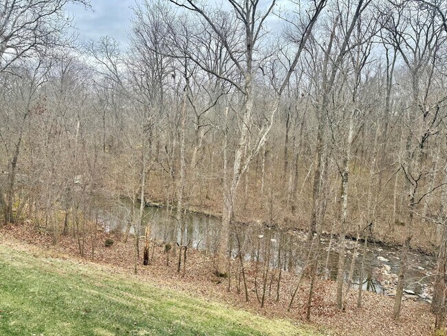 Photo - 1632 Shady Cove Ln