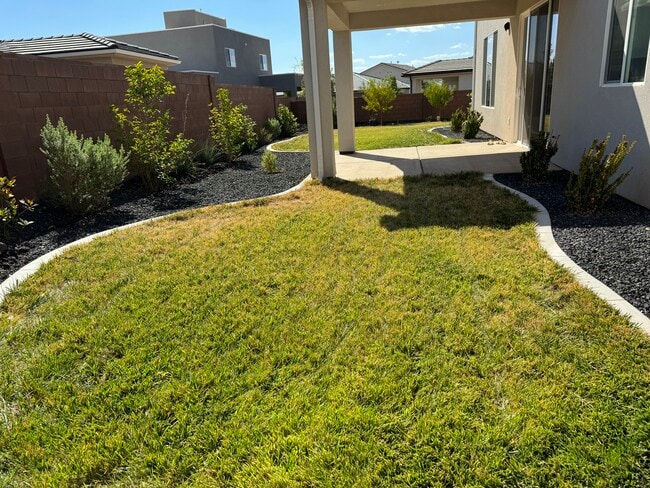 Photo - 1262 E Daylily Dr