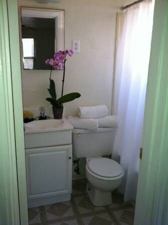 Photo - Pinetree Gardens